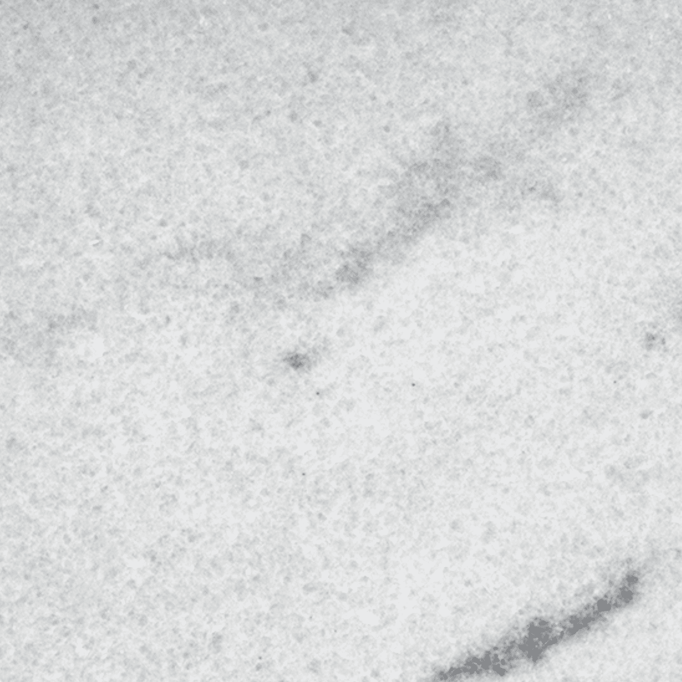 White Marble — polished swatch from Texas Lonestar Monuments