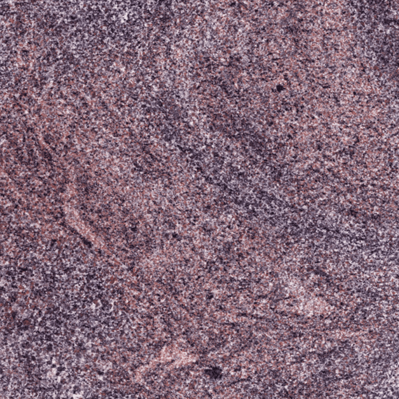 Paradiso granite — polished swatch from Texas Lonestar Monuments