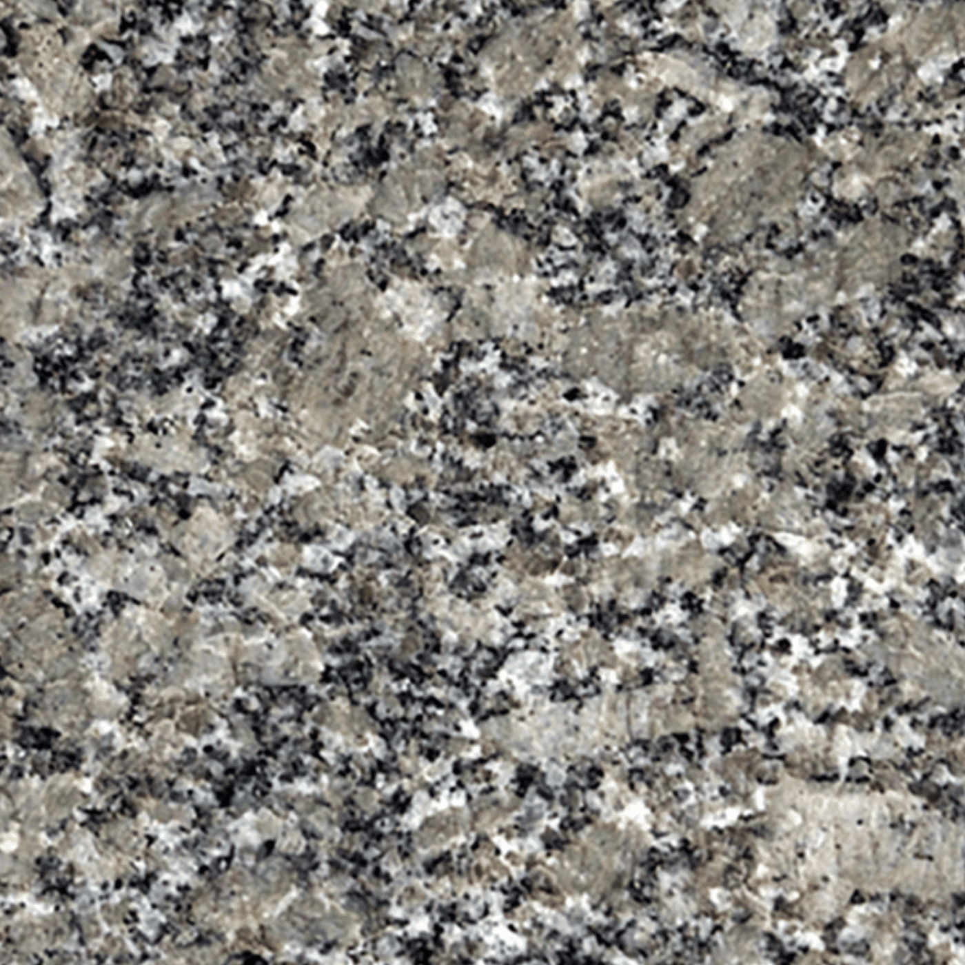 Pine Green granite — polished swatch from Texas Lonestar Monuments